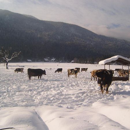 Farmhouse Soklic Bohinj Dış mekan fotoğraf