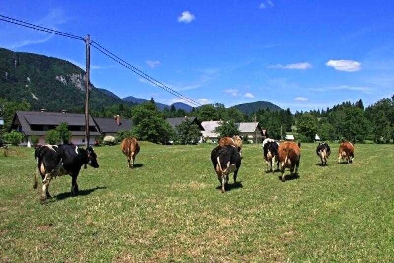 Farmhouse Soklic Bohinj Dış mekan fotoğraf