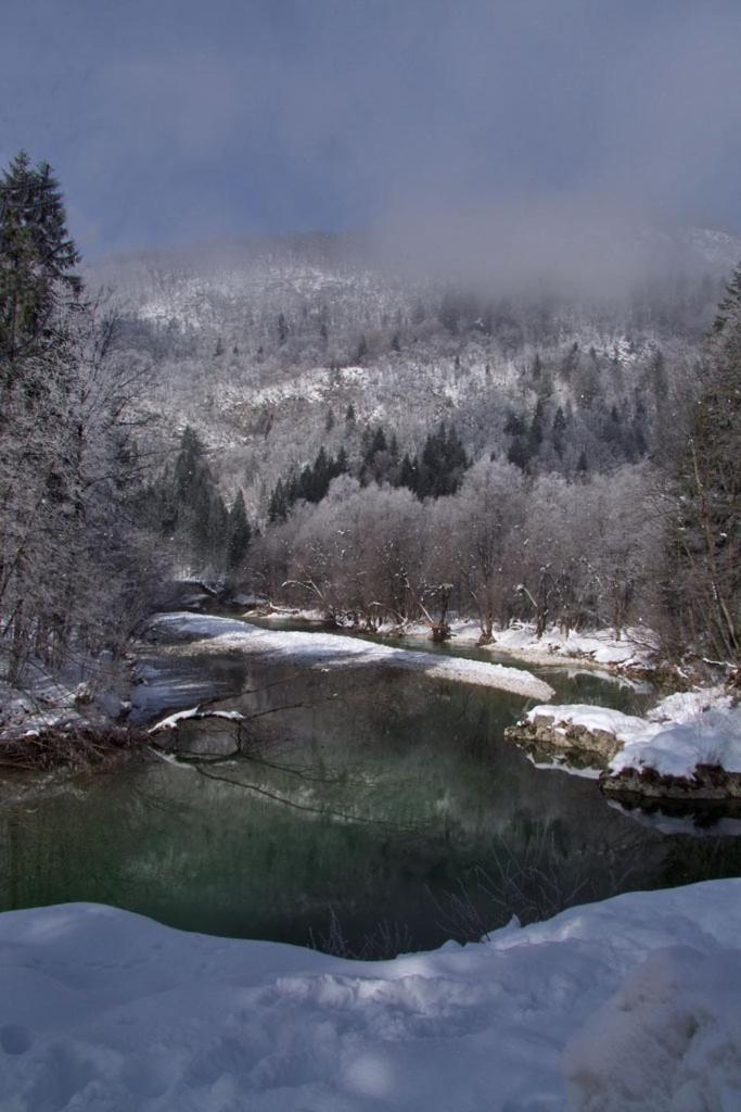Farmhouse Soklic Bohinj Dış mekan fotoğraf