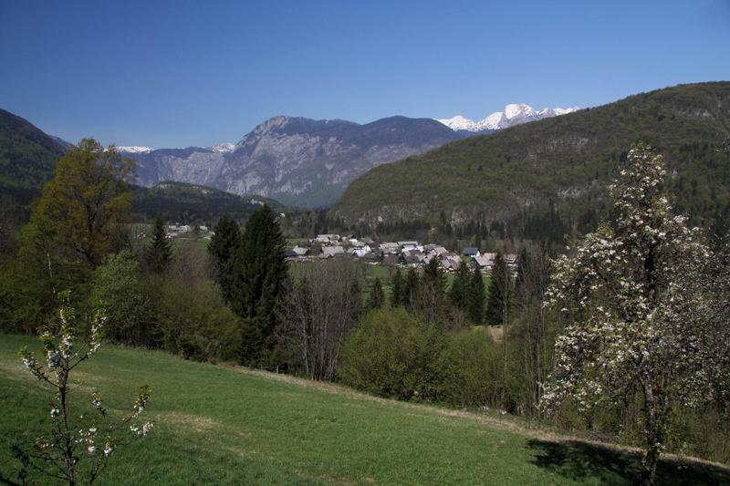 Farmhouse Soklic Bohinj Dış mekan fotoğraf